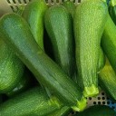vignette_Courgettes.jpg
