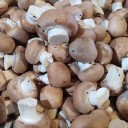 vignette_champignon.jpg