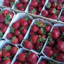 vignette_fraises.jpg