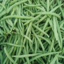vignette_haricots_verts.jpg